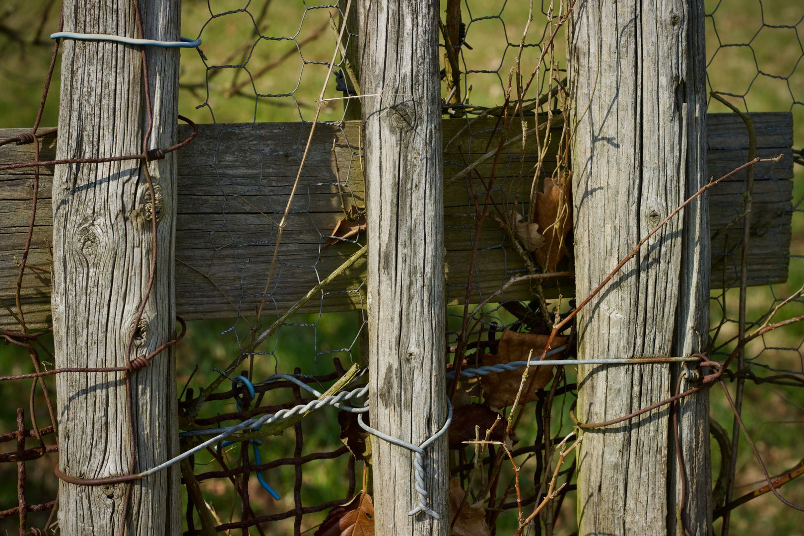 Building a Wooden Fence
