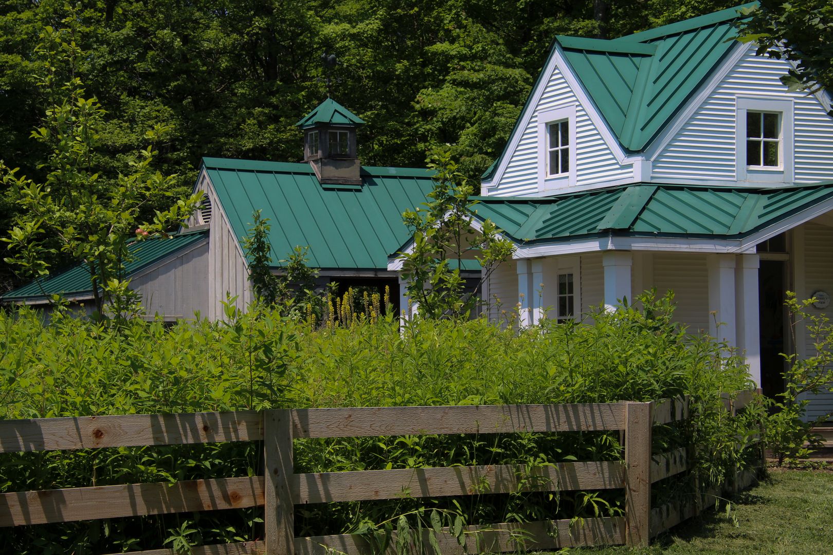 Completed wooden privacy fence